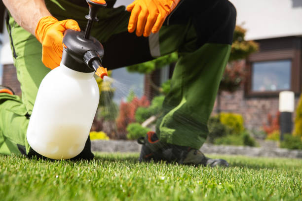 Best Affordable Pest Control Services  in East Bethel, MN