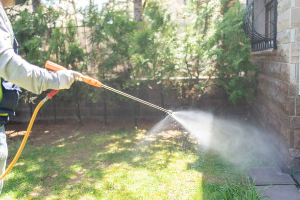 Trusted East Bethel, MN Pest Control Experts