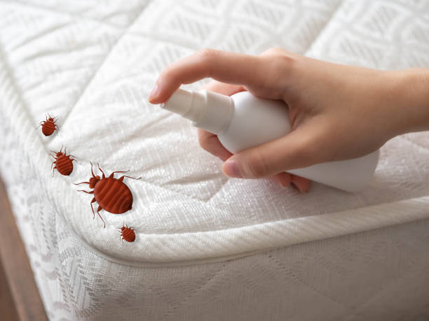  East Bethel, MN Pest Control Pros